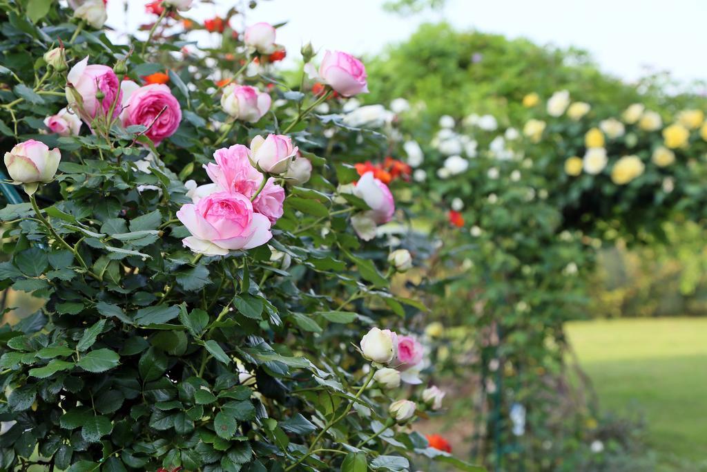 Agriturismo Argaland Parma Exteriör bild